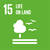 Symbol for SDG 15 - Life_On_Land